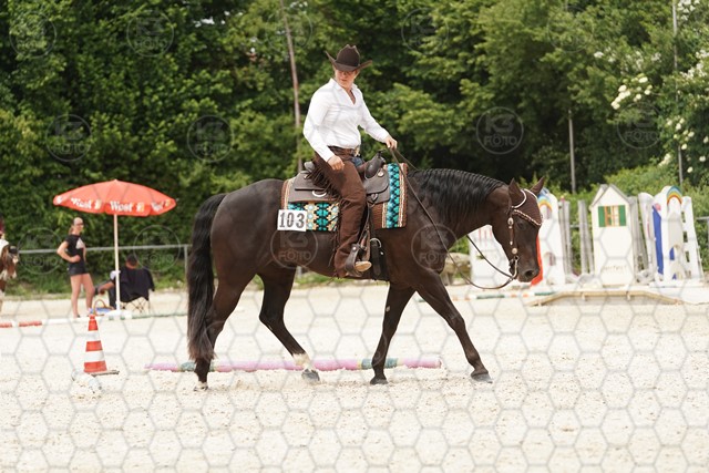 sA9K08543.JPG